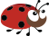 ladybug